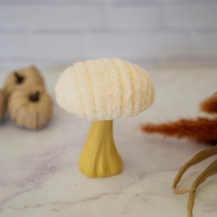 Honguito Ivory - ambientihonduras