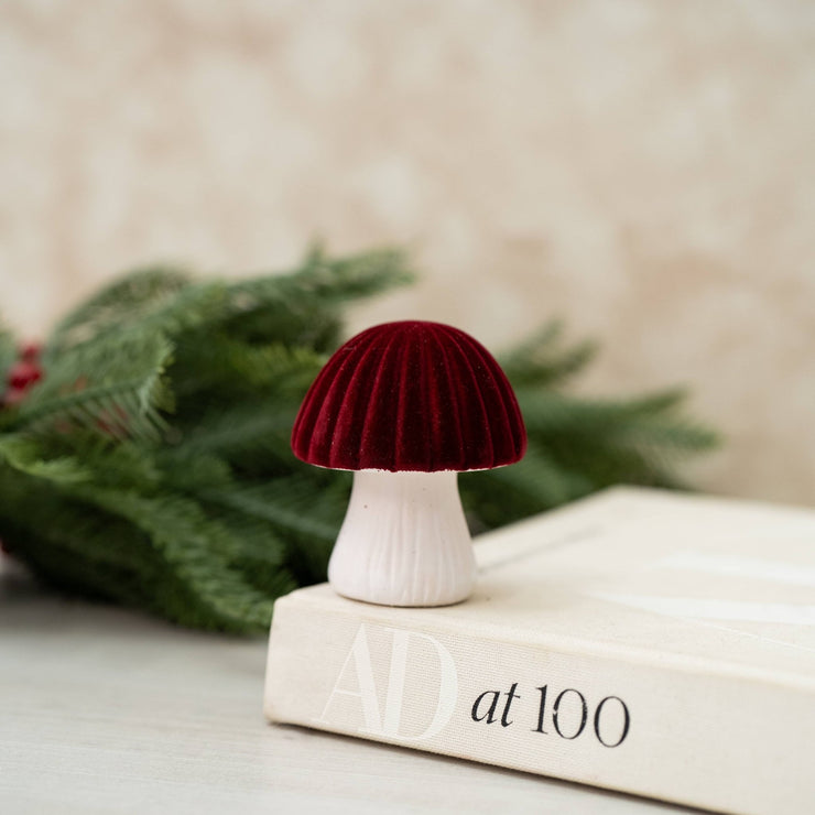 Honguito Rojo Flocado - ambientihonduras