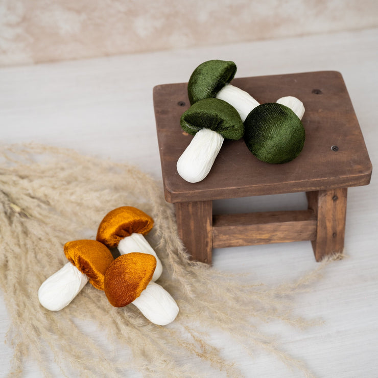 Honguito Velvet - ambientihonduras