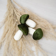 Honguito Velvet - ambientihonduras