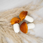 Honguito Velvet - ambientihonduras