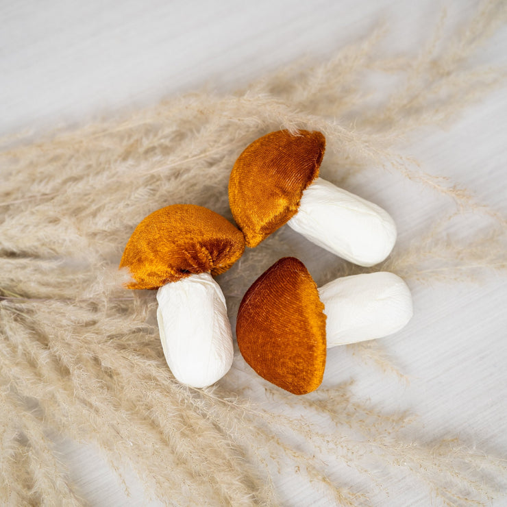 Honguito Velvet - ambientihonduras