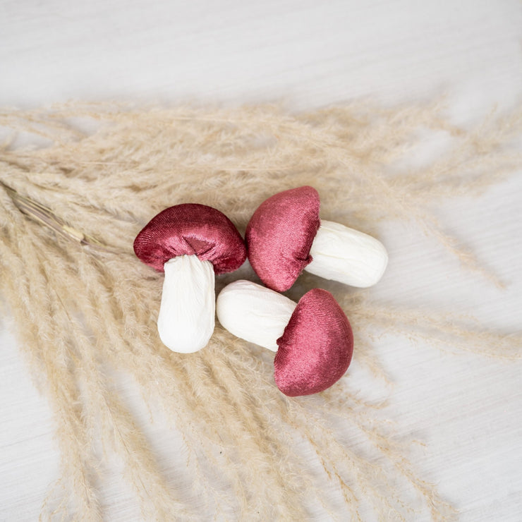 Honguito Velvet - ambientihonduras