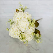 Hortensia Pompon Off White - ambientihonduras