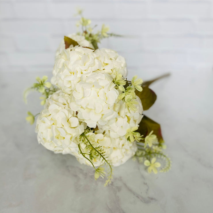 Hortensia Pompon Off White - ambientihonduras