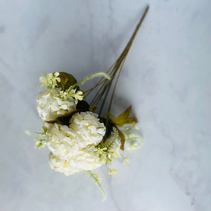 Hortensia Pompon Off White - ambientihonduras