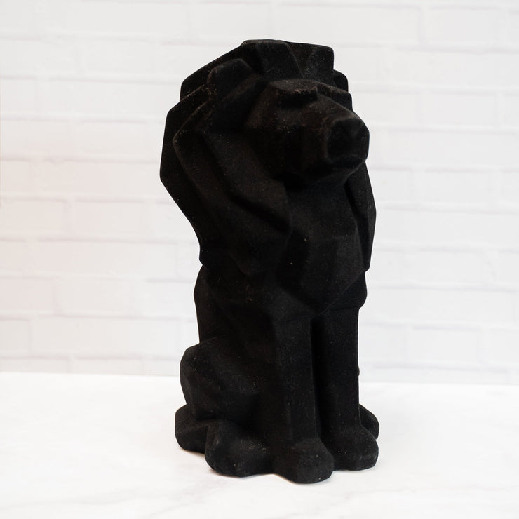 León Negro - ambientihonduras