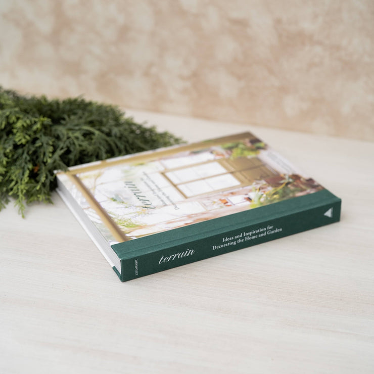 Libro Terrain - ambientihonduras