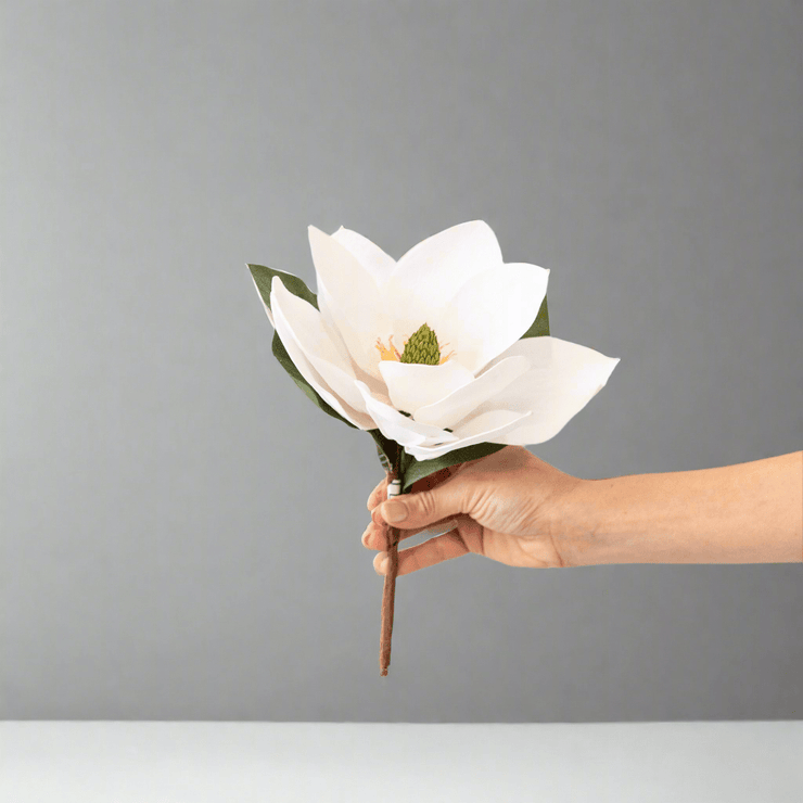 Magnolias - ambientihonduras