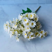 Margaritas Grandes - ambientihonduras