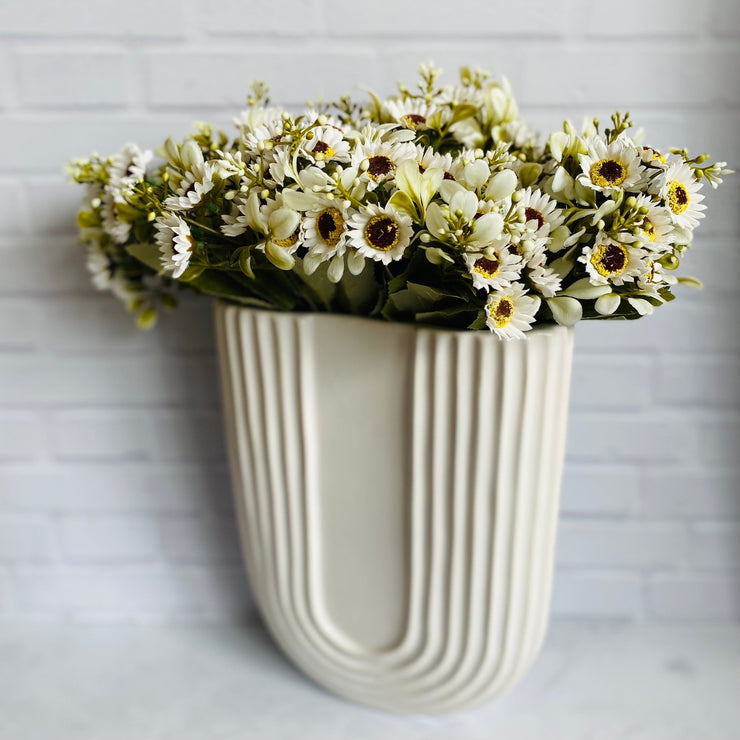 Margaritas Pequeñas - ambientihonduras