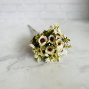 Margaritas Pequeñas - ambientihonduras