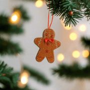 Muñeco de Jengibre - ambientihonduras