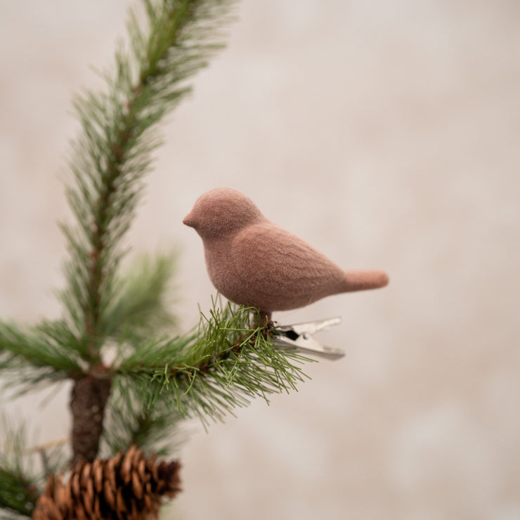 Pajarito Café Flocado - ambientihonduras