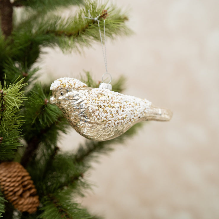 Pajarito Champagne con Perlas - ambientihonduras