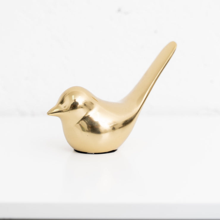 Pájaro Cola Larga - ambientihonduras