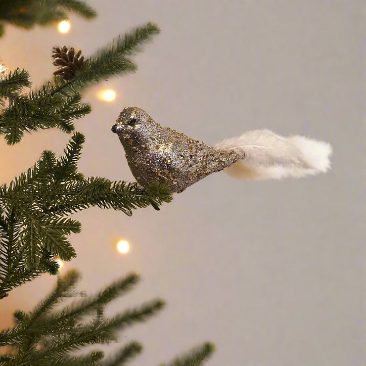 Pajaro Dorado Escarchado - ambientihonduras