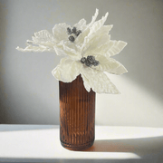 Pascua Blanca - ambientihonduras