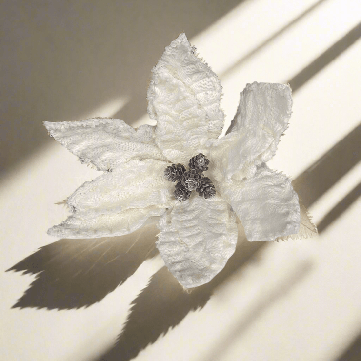 Pascua Blanca - ambientihonduras