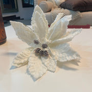 Pascua Blanca - ambientihonduras