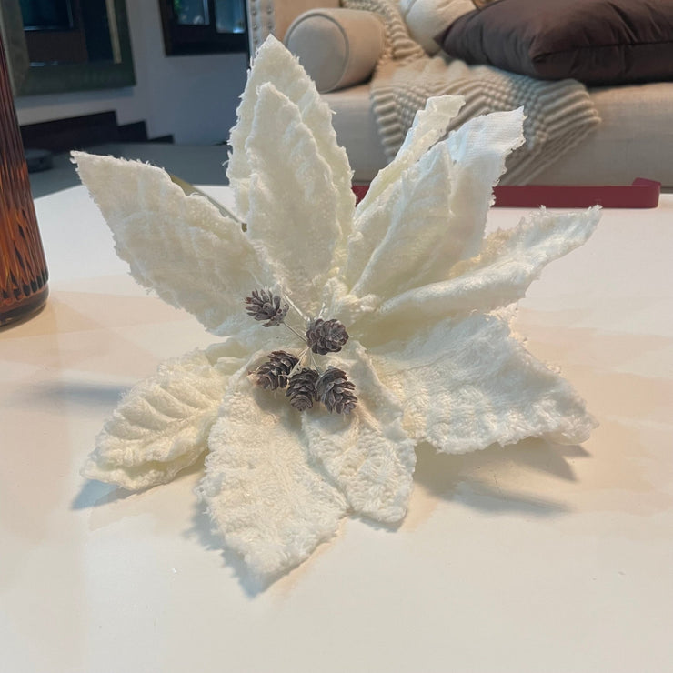 Pascua Blanca - ambientihonduras