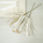 Pascua Blanca Larga - ambientihonduras