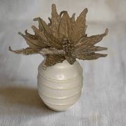 Pascua Café - ambientihonduras