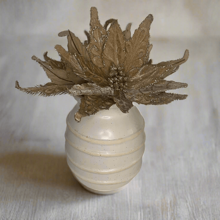 Pascua Café - ambientihonduras