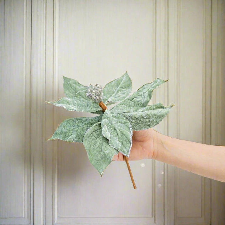 Pascuas Verdes - ambientihonduras