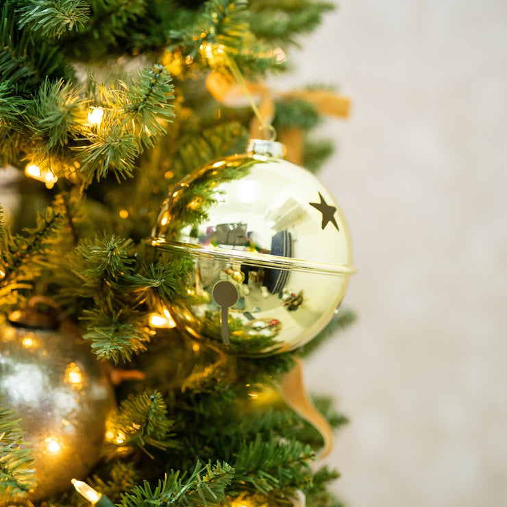 Pelota Cascabel Dorada - ambientihonduras