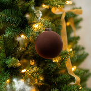 Pelota Velvet Café - ambientihonduras