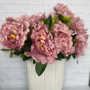 Peonias - ambientihonduras