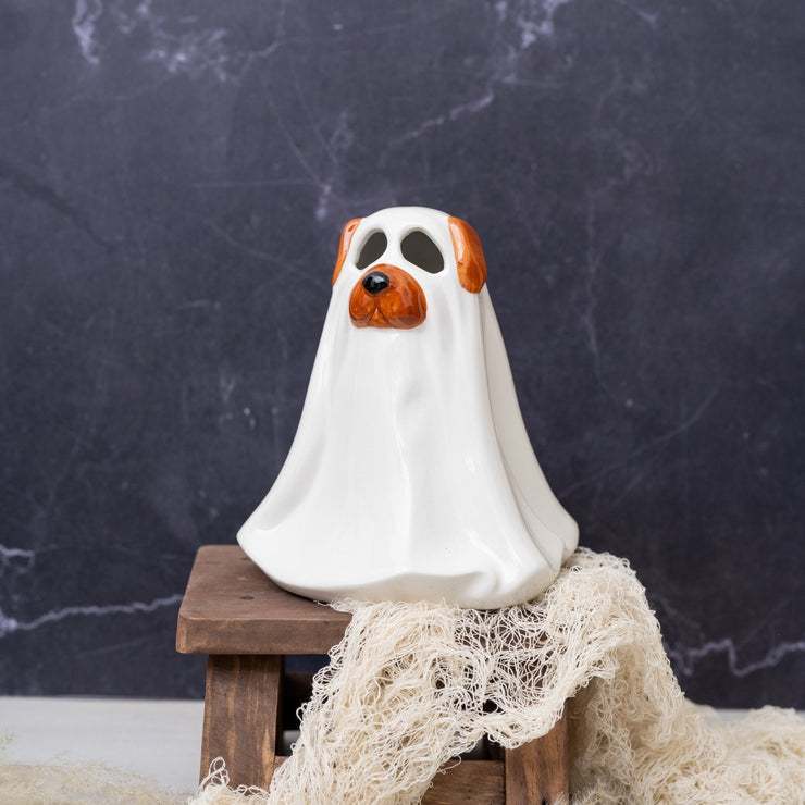 Perrito Fantasma - ambientihonduras