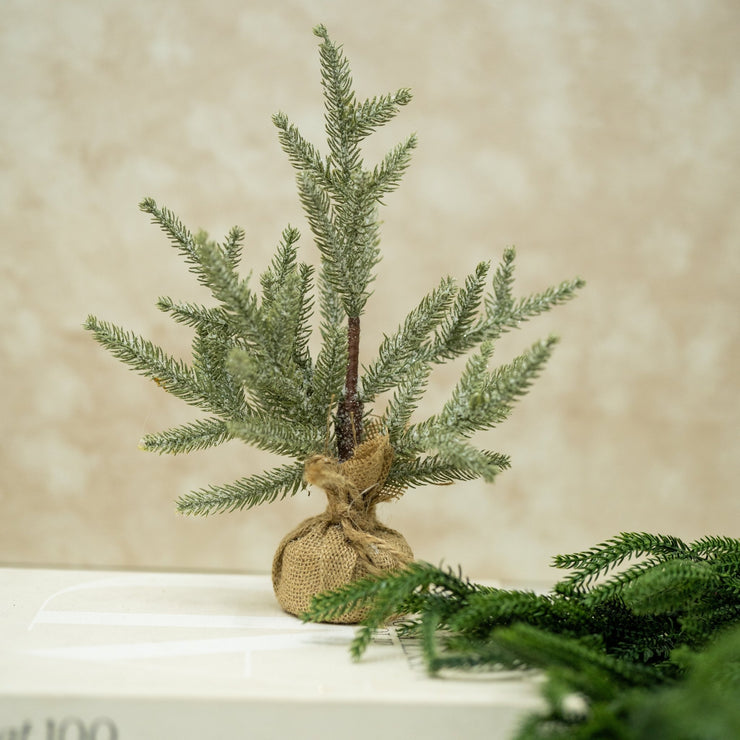 Pinito Nevado Base de Yute - ambientihonduras