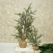 Pinito Nevado Base de Yute - ambientihonduras