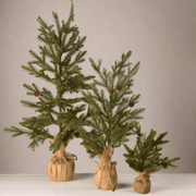 Pino Base de Tela de Yute - ambientihonduras