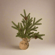 Pino Base de Tela de Yute - ambientihonduras