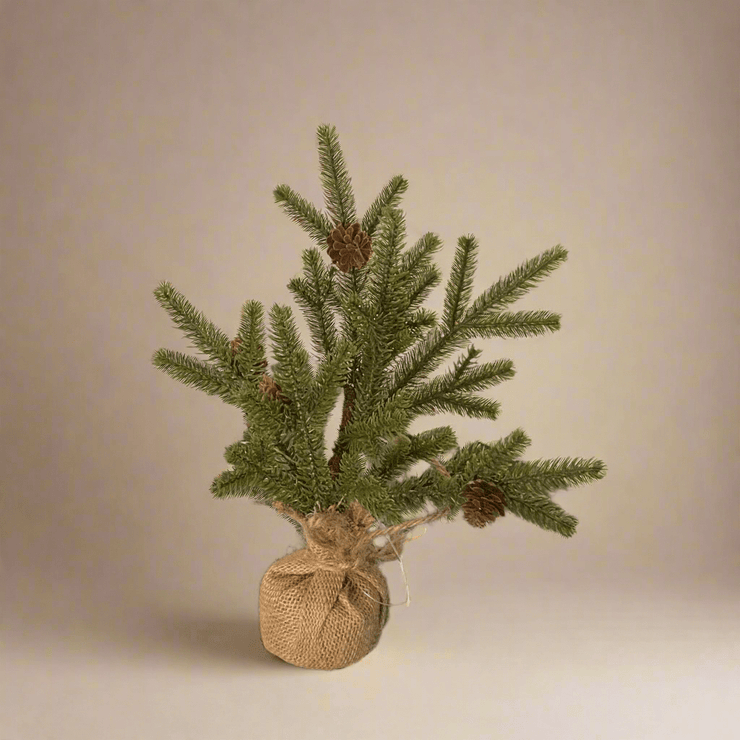 Pino Base de Tela de Yute - ambientihonduras