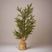 Pino Base de Tela de Yute - ambientihonduras