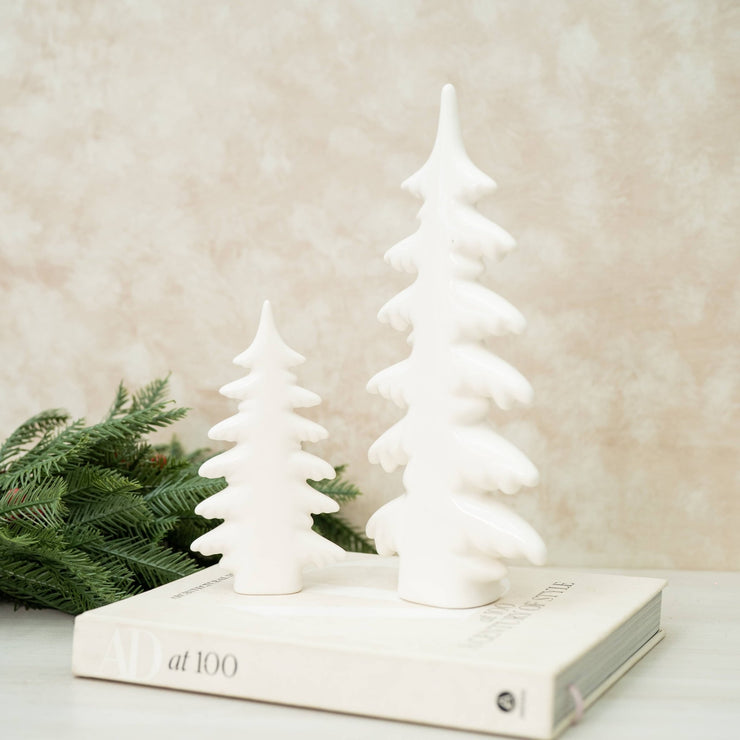 Pinos Blancos - ambientihonduras