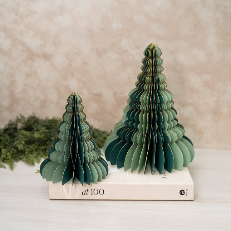 Pinos Verdes - ambientihonduras