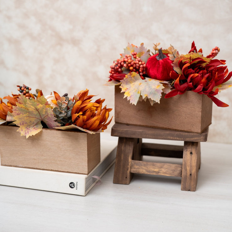 Planta Calabazas & Flores - ambientihonduras