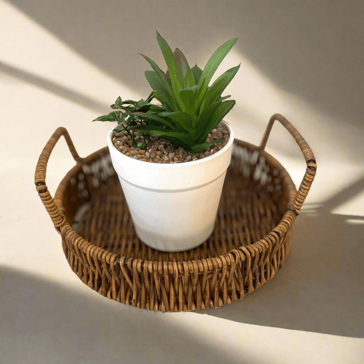 Plantita artificial - ambientihonduras