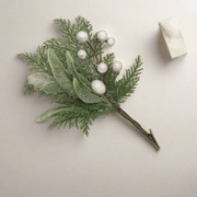 Rama de Bayas Nevadas - ambientihonduras