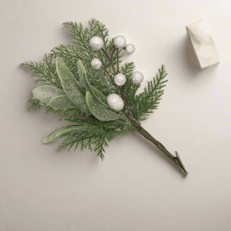 Rama de Bayas Nevadas - ambientihonduras