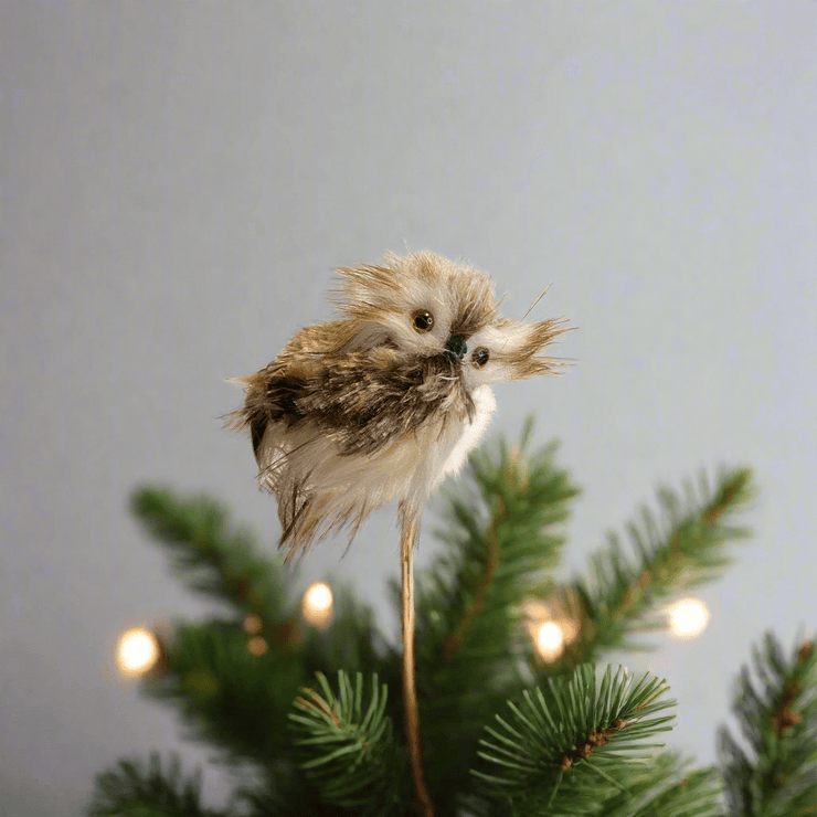 Rama de Buhito Café - ambientihonduras