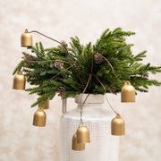 Rama de Campanas Doradas - ambientihonduras