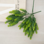 Rama de pino ceniza - ambientihonduras