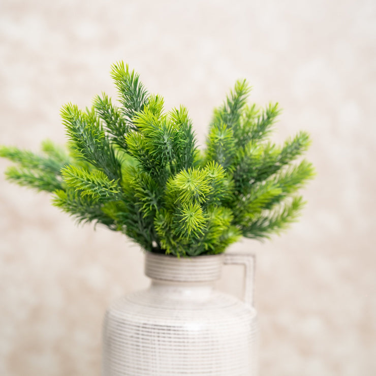 Rama de pino ceniza - ambientihonduras