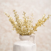 Rama Dorada Escarchada - ambientihonduras